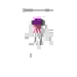 Sidilarsen - A qui je nuis me pardonne