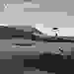 Sick Puppies - Poison