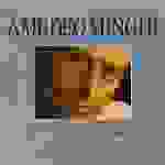 Amedeo Minghi - Decenni