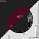 Shinedown - A symptom of being human