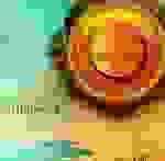 Sherwood - Alley cat