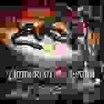 Amberian Dawn - Ghostly echoes