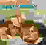 Shirley Bassey - Thought I'd ring you