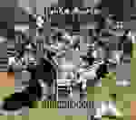 Malika Ayane - Il tempo non inganna