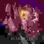 Amaranthe - Find life