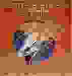 Shooting star - Burning