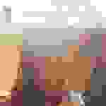 Mandy Moore - Have a little faith in me