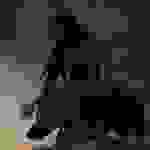 Mannequin Pussy - I got heaven