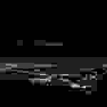 She Wants Revenge - Maybe she's right