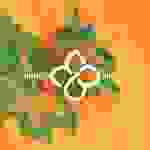 Manic Bloom - Running from the scene