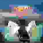 Mañana es para siempre - Mañana es para siempre