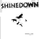 Shinedown - Breaking inside