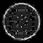 Shinedown - Through the ghost