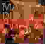 Mando Diao - Down in the past