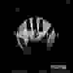 Amaral - Llévame muy lejos