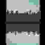 Maggie Rogers - Dog years