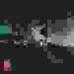 Mafalda Cardenal - Ya no hablamos el mismo idioma