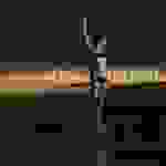 Amanda Palmer - Voicemail for Jill