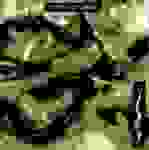 Shriekback - Nemesis