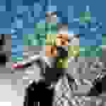 Maisie Peters - Watch