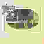 Amazing Rhythm Aces - Third rate romance