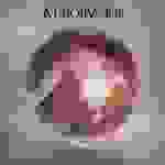 MajorVoice - Sunbed in the rain