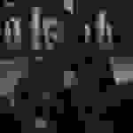 Mako - What have they done to us