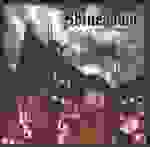 Shinedown - Beyond the sun