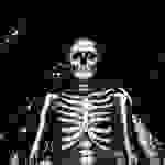 Maine, the - Sad songs