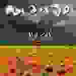 Mango - Bella d'estate