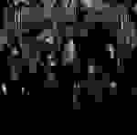 Mandragora Scream - Dark lantern