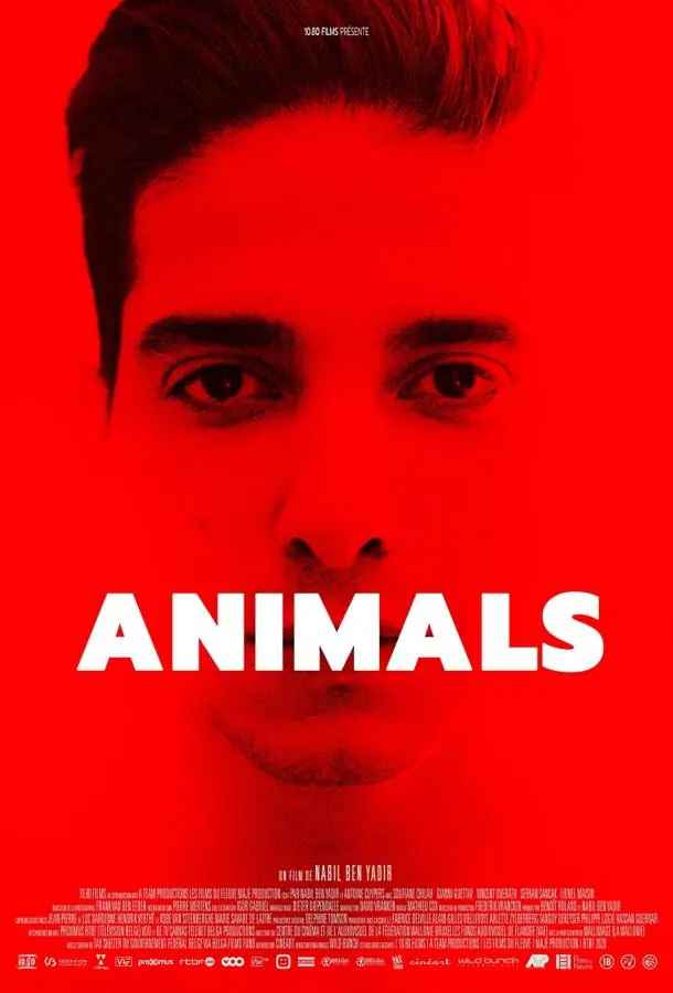 Animals