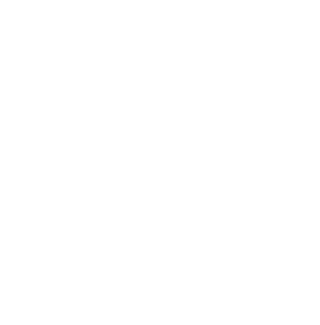 Rebel Without a Cause