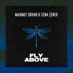 Mahmut Orhan - Fly above