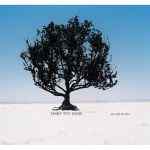 Shiny toy guns - Le Disko